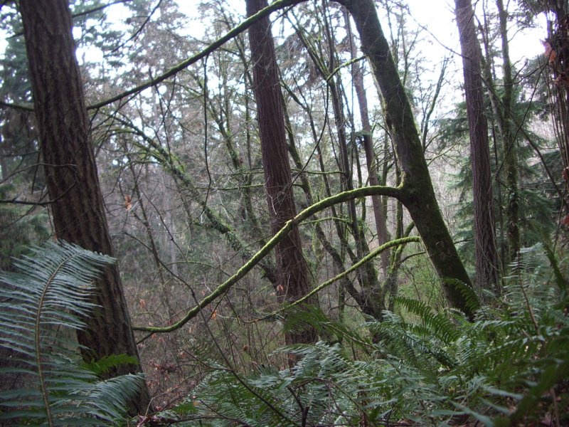 img341.jpg